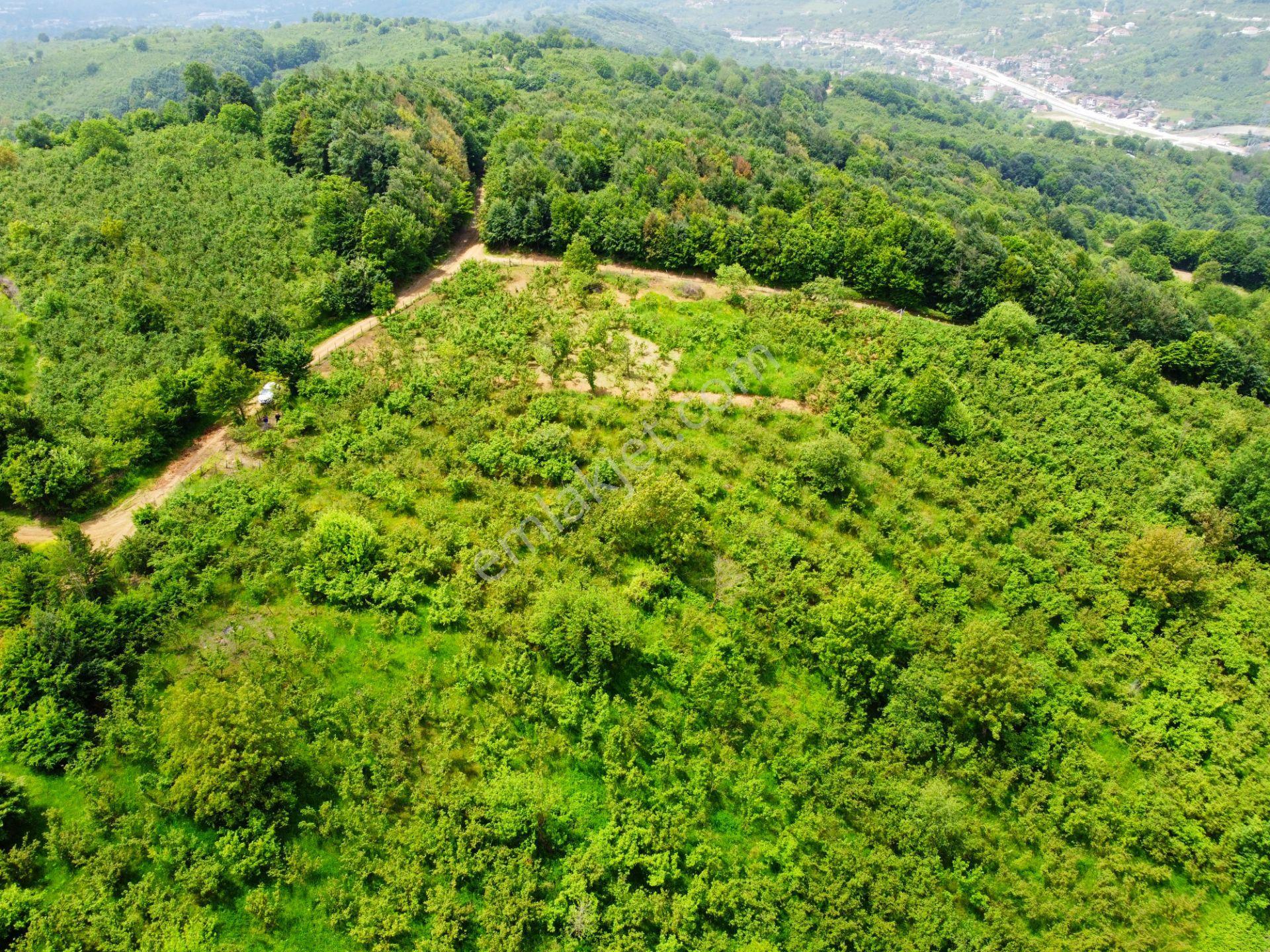 Hak Emlak'tan Boğaziçi-kabalak Mah. Satılık 2.883m² Hobi Bahçesi - Görsel 21