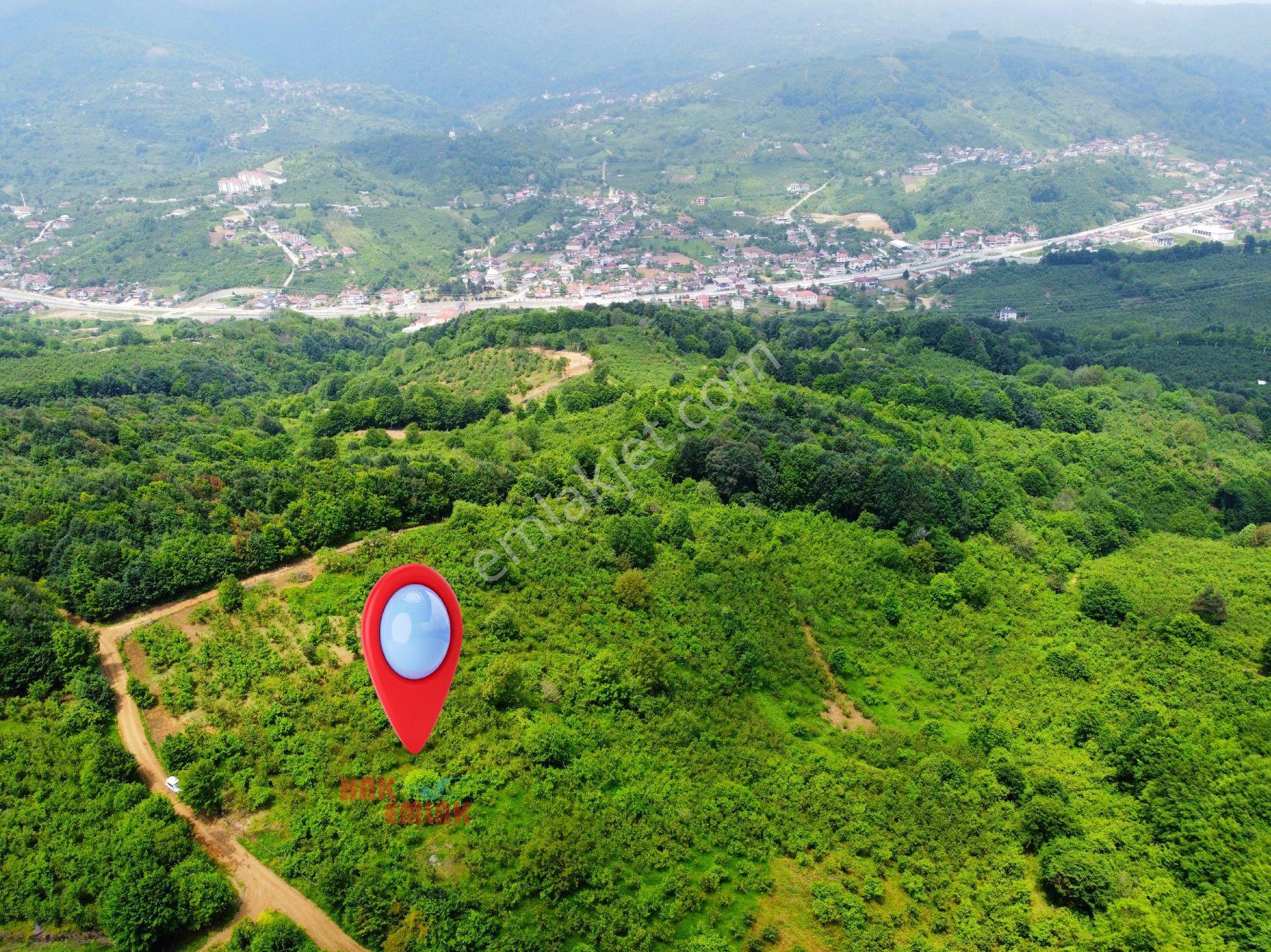 Hak Emlak'tan Boğaziçi-kabalak Mah. Satılık 2.883m² Hobi Bahçesi - Görsel 4
