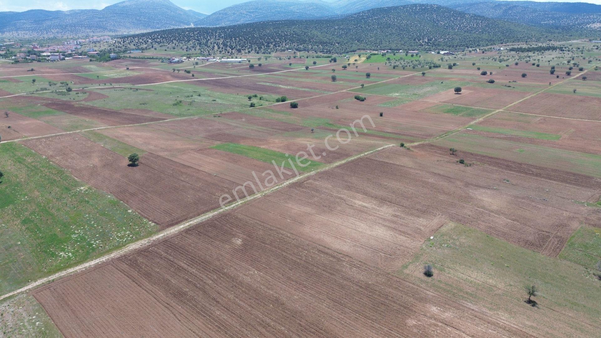Akören Tülce De 6.819 M2 Müstakil Tapulu Tarla - Görsel 9