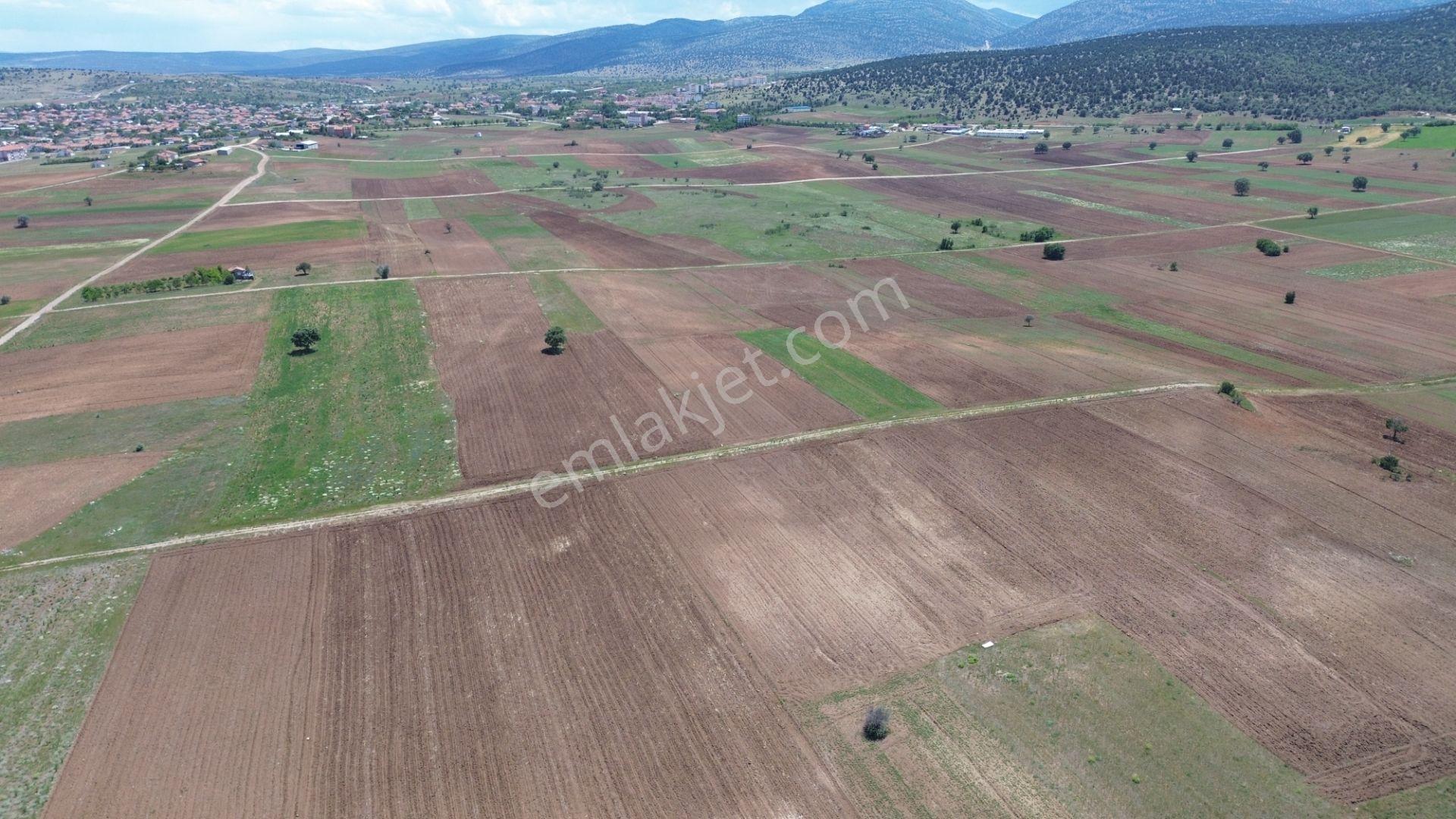 Akören Tülce De 6.819 M2 Müstakil Tapulu Tarla - Görsel 8