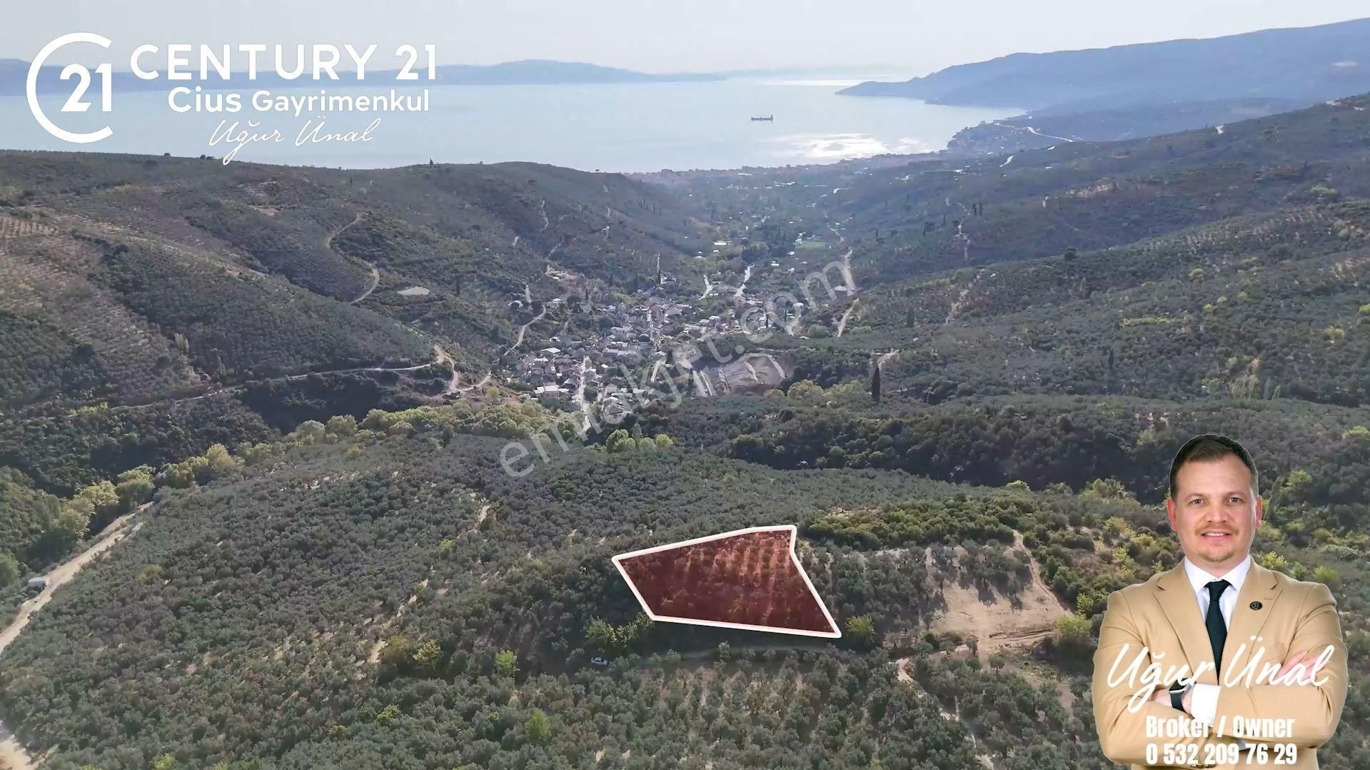 C21cius: Kumla'da Resmi Yola Cephe 1861 M2 Zeytinlik - Görsel 3