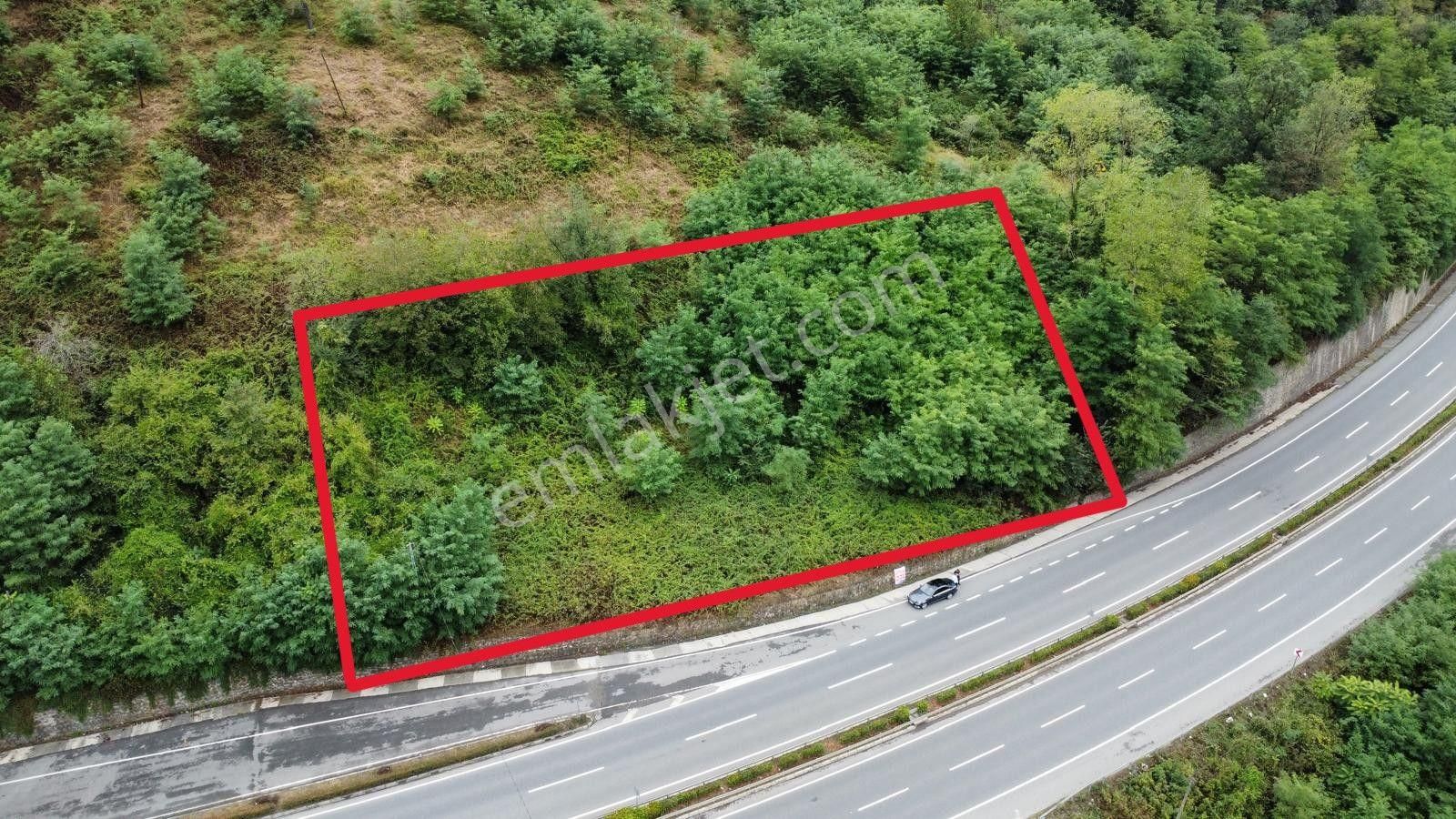 Trabzon Maçka'da Satılık Arazi - Görsel 6