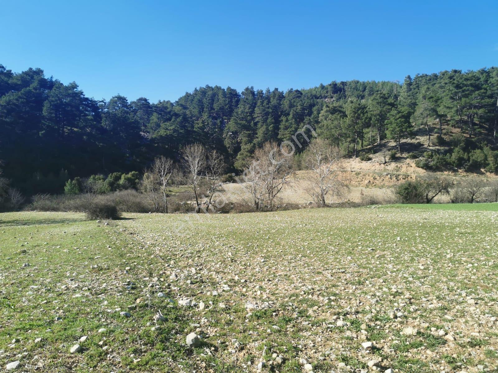 Muğla Menteşe Meke Mah. Satılık 3 Dönüm Tarla - Görsel 3