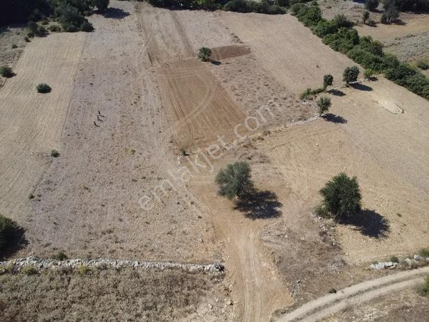 Muğla Menteşe Meke Mah. Satılık 3 Dönüm Tarla - Görsel 19