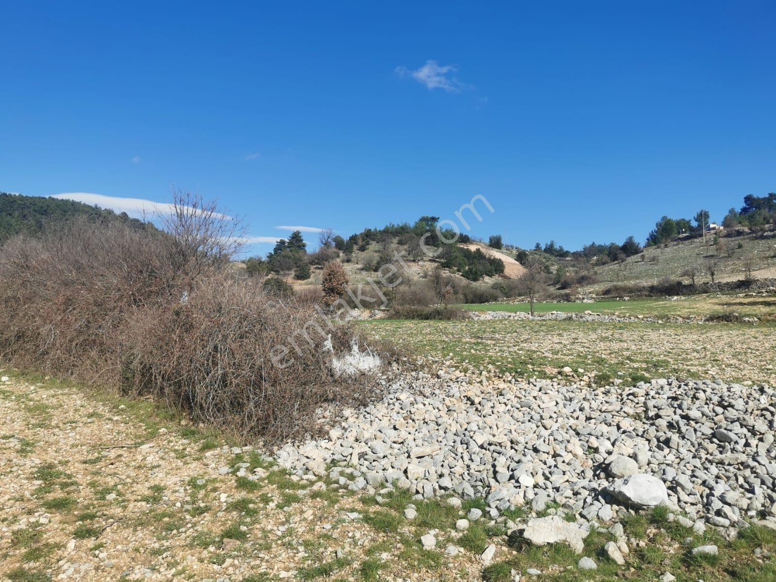 Muğla Menteşe Meke Mah. Satılık 3 Dönüm Tarla - Görsel 6