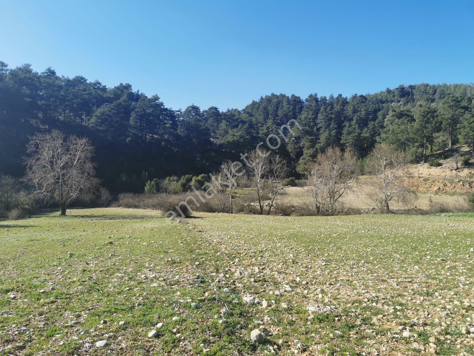 Muğla Menteşe Meke Mah. Satılık 3 Dönüm Tarla - Görsel 2