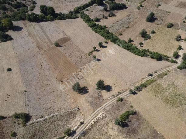 Muğla Menteşe Meke Mah. Satılık 3 Dönüm Tarla - Görsel 8