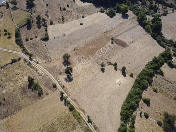 Muğla Menteşe Meke Mah. Satılık 3 Dönüm Tarla - Görsel 9