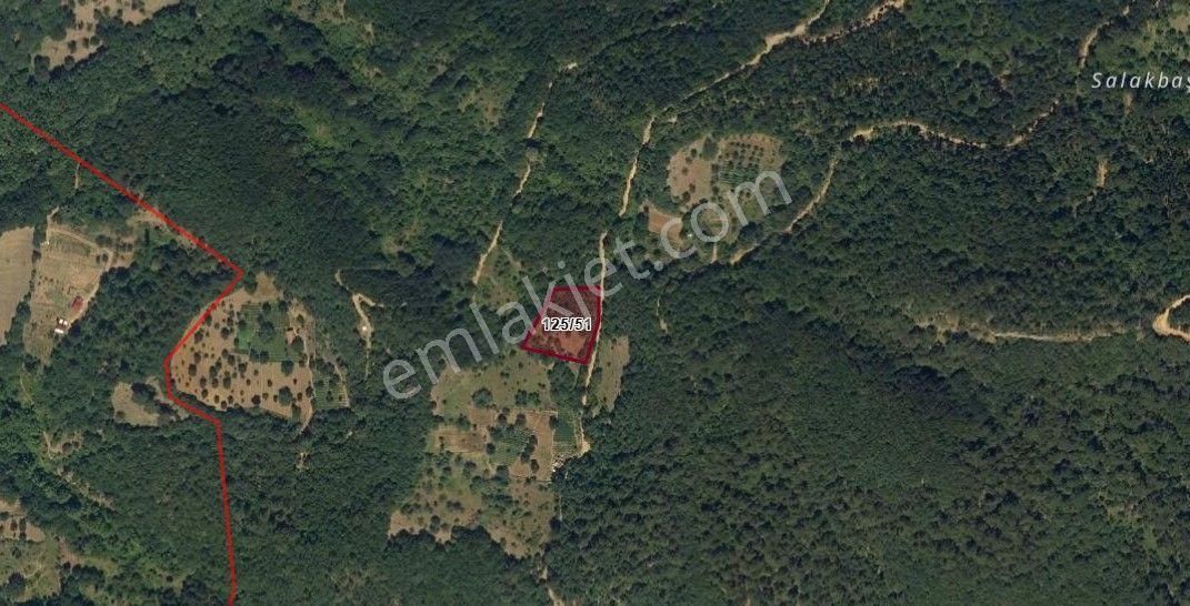 Bursa Osmangazi Kirazlı Köyü Satılık Tarla