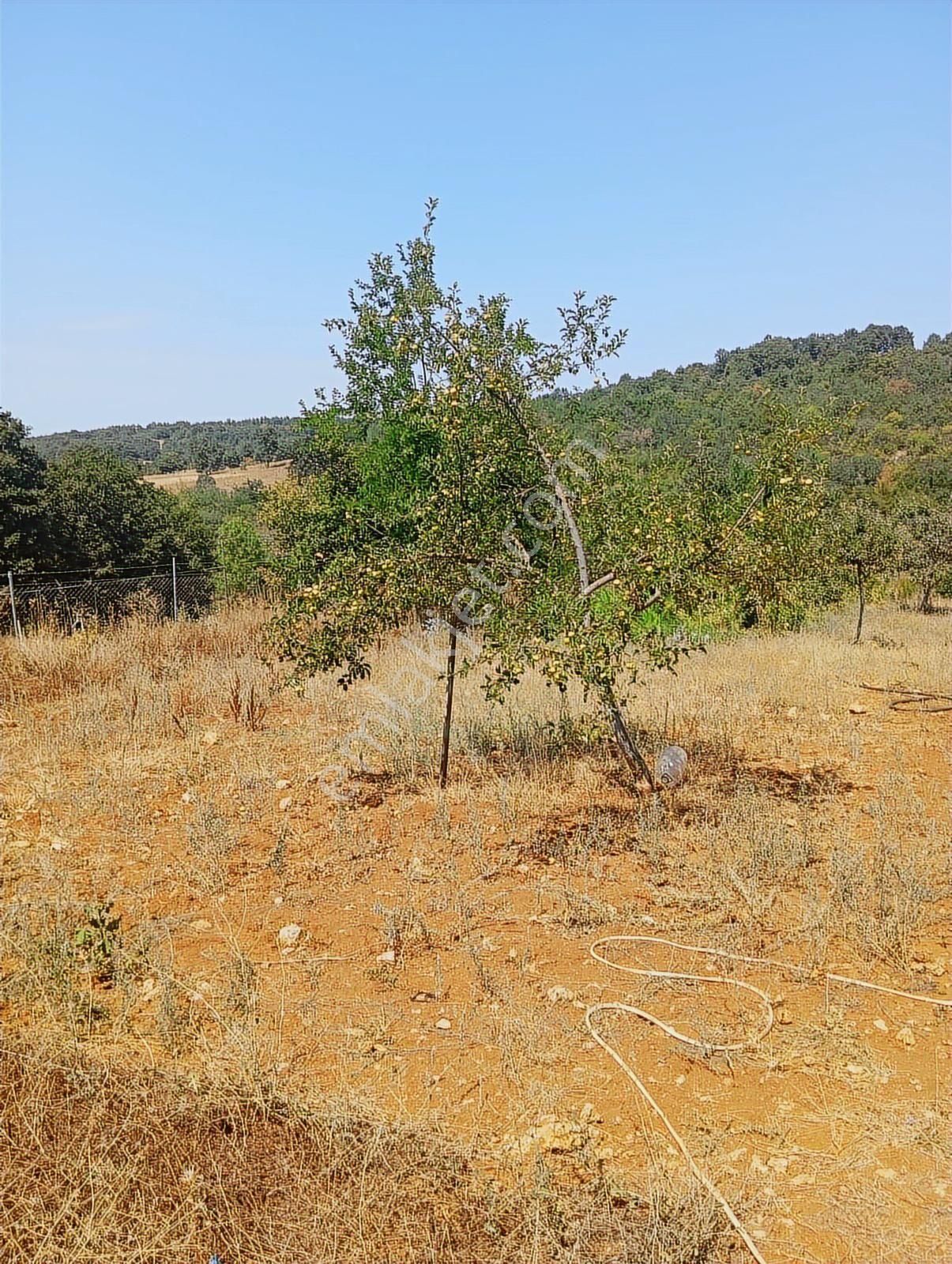 Fem Emlak'tan İnegöl Bayramşah'ta 2200 M2 Arsa