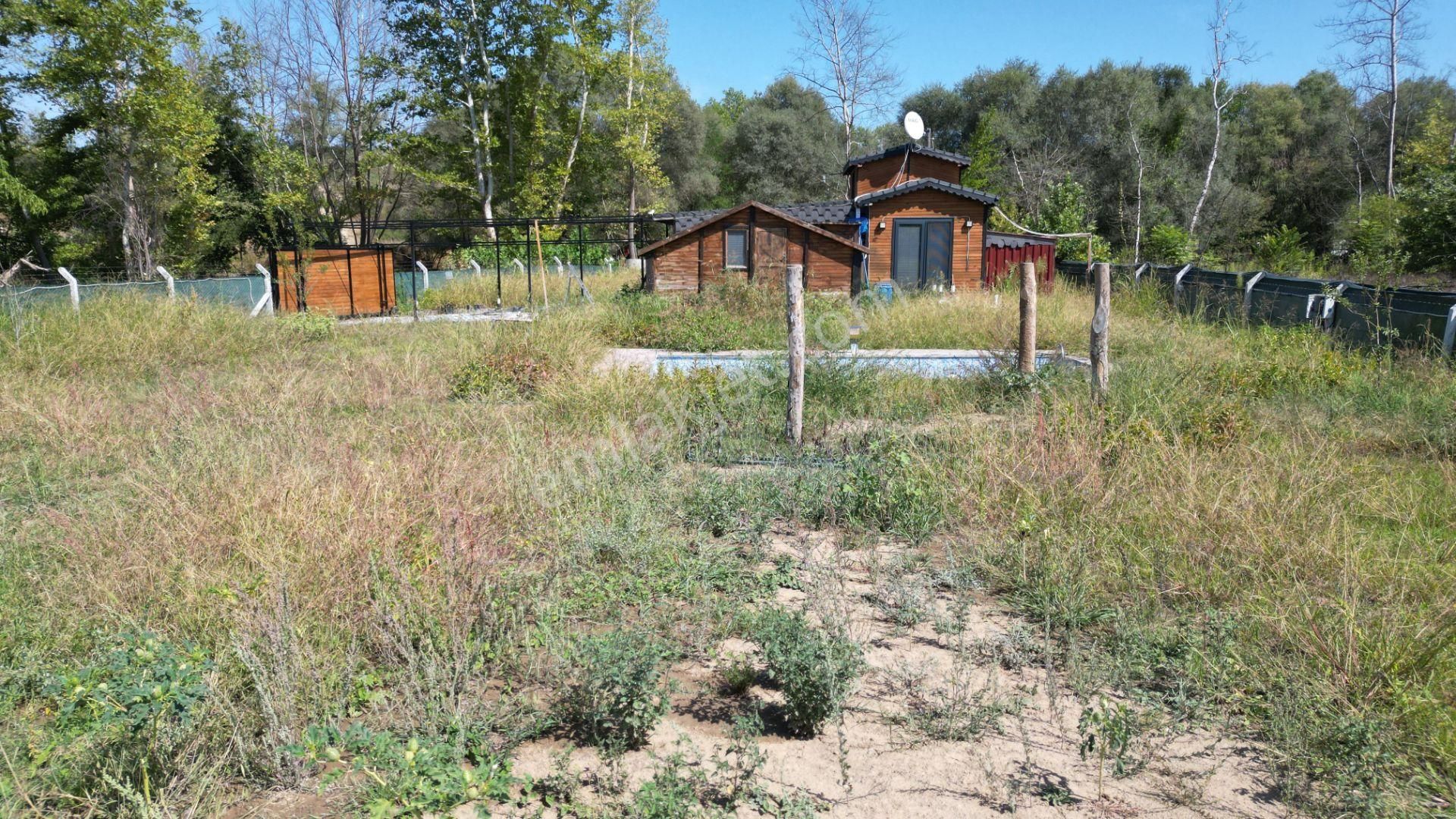 Kocaeli Karamürsel Valideköprü 1451 M2 Bahçe İçinde Satılık Müstakil Havuzlu Ev - Görsel 18