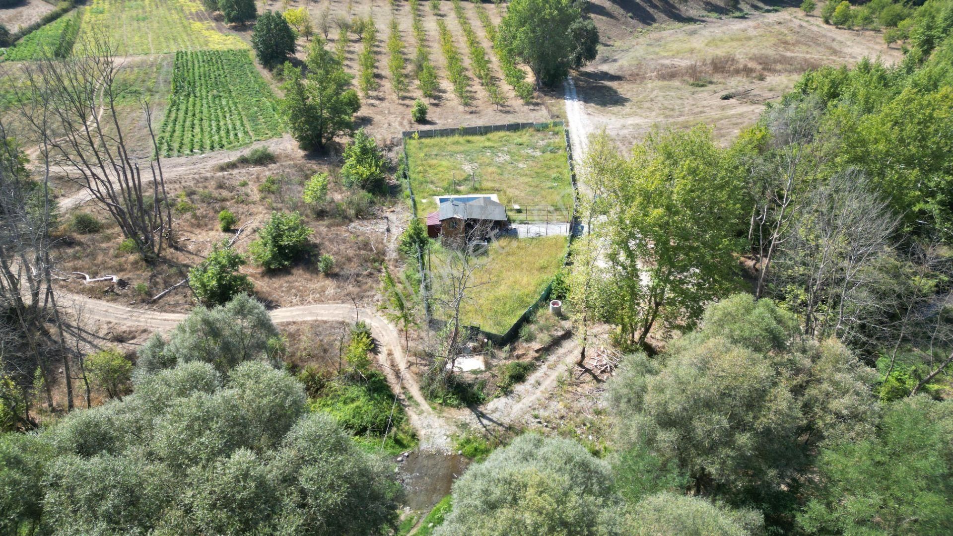 Kocaeli Karamürsel Valideköprü 1451 M2 Bahçe İçinde Satılık Müstakil Havuzlu Ev - Görsel 5