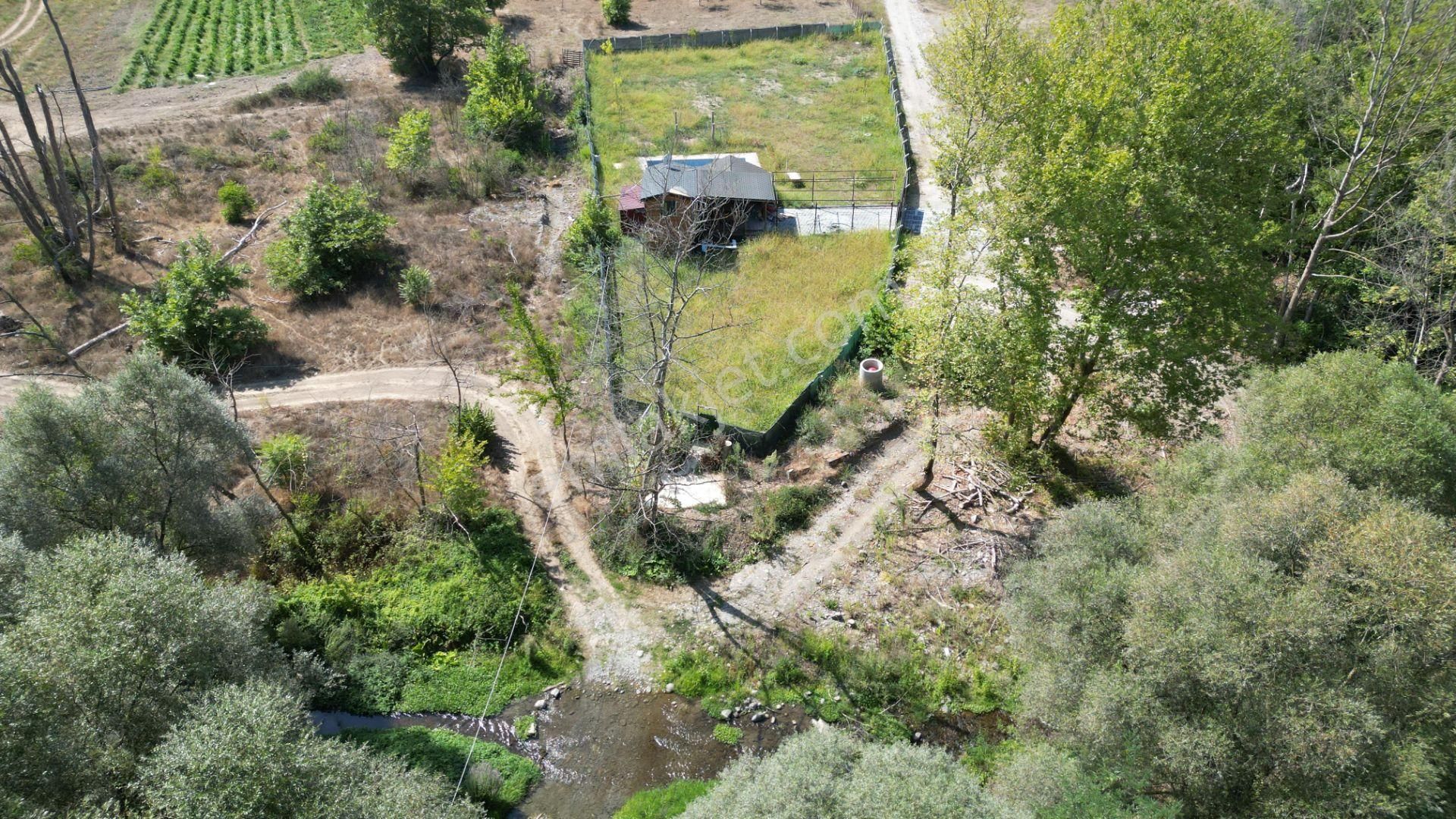 Kocaeli Karamürsel Valideköprü 1451 M2 Bahçe İçinde Satılık Müstakil Havuzlu Ev - Görsel 6