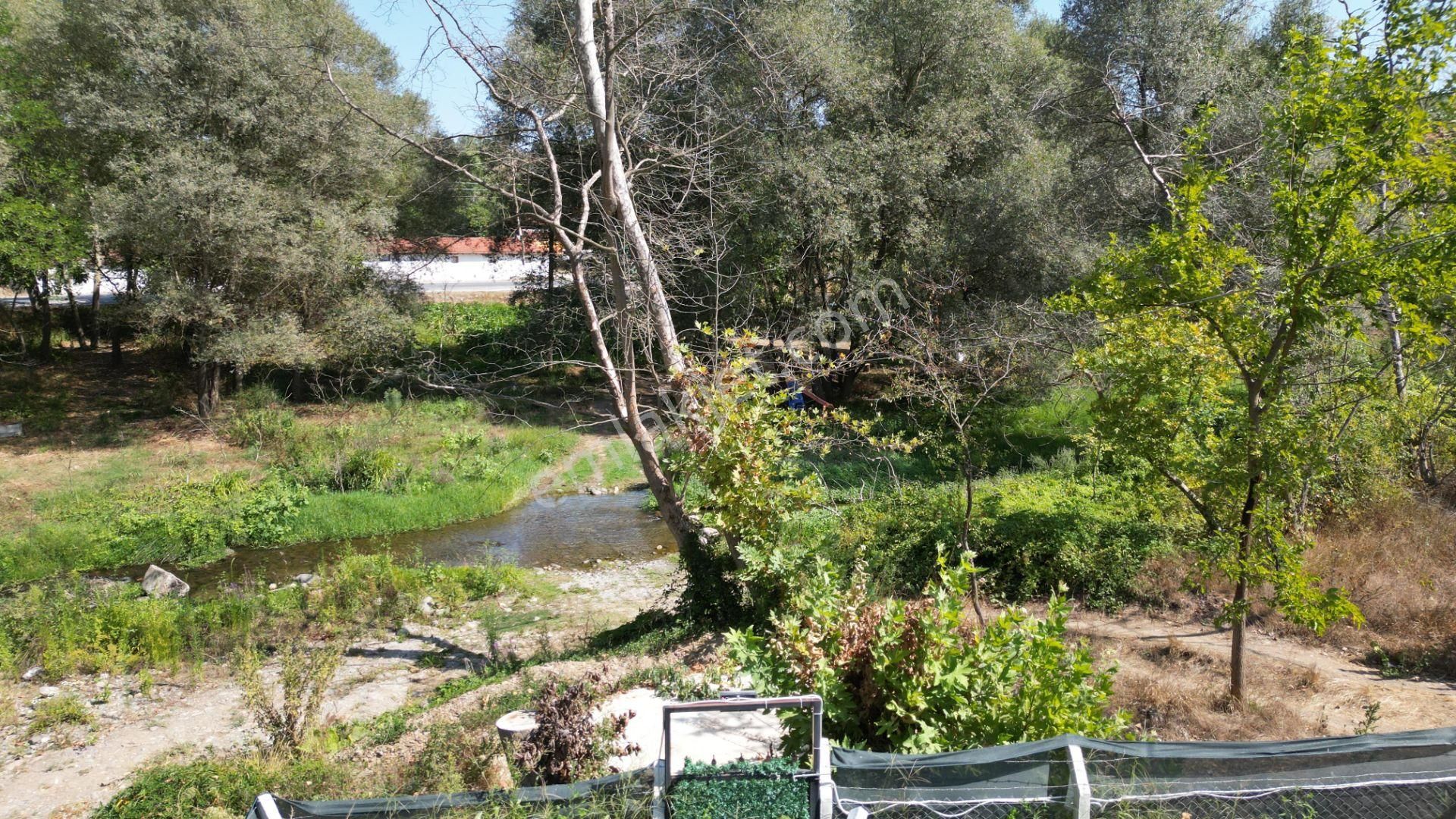 Kocaeli Karamürsel Valideköprü 1451 M2 Bahçe İçinde Satılık Müstakil Havuzlu Ev - Görsel 14