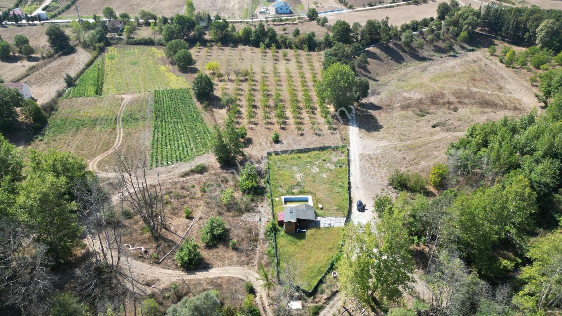 Kocaeli Karamürsel Valideköprü 1451 M2 Bahçe İçinde Satılık Müstakil Havuzlu Ev - Görsel 9