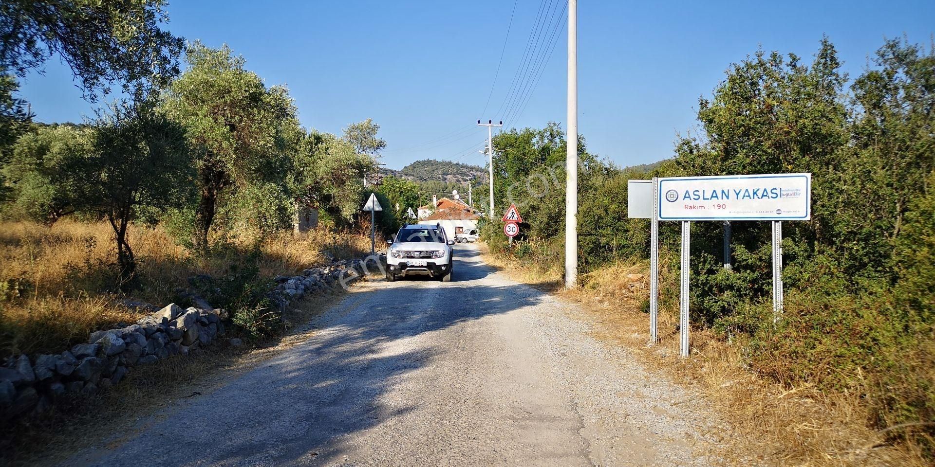 Milas Aslanyaka Mahallesinde 27000 M² Satılık Verimli Çiftlik Arazisi - Görsel 2