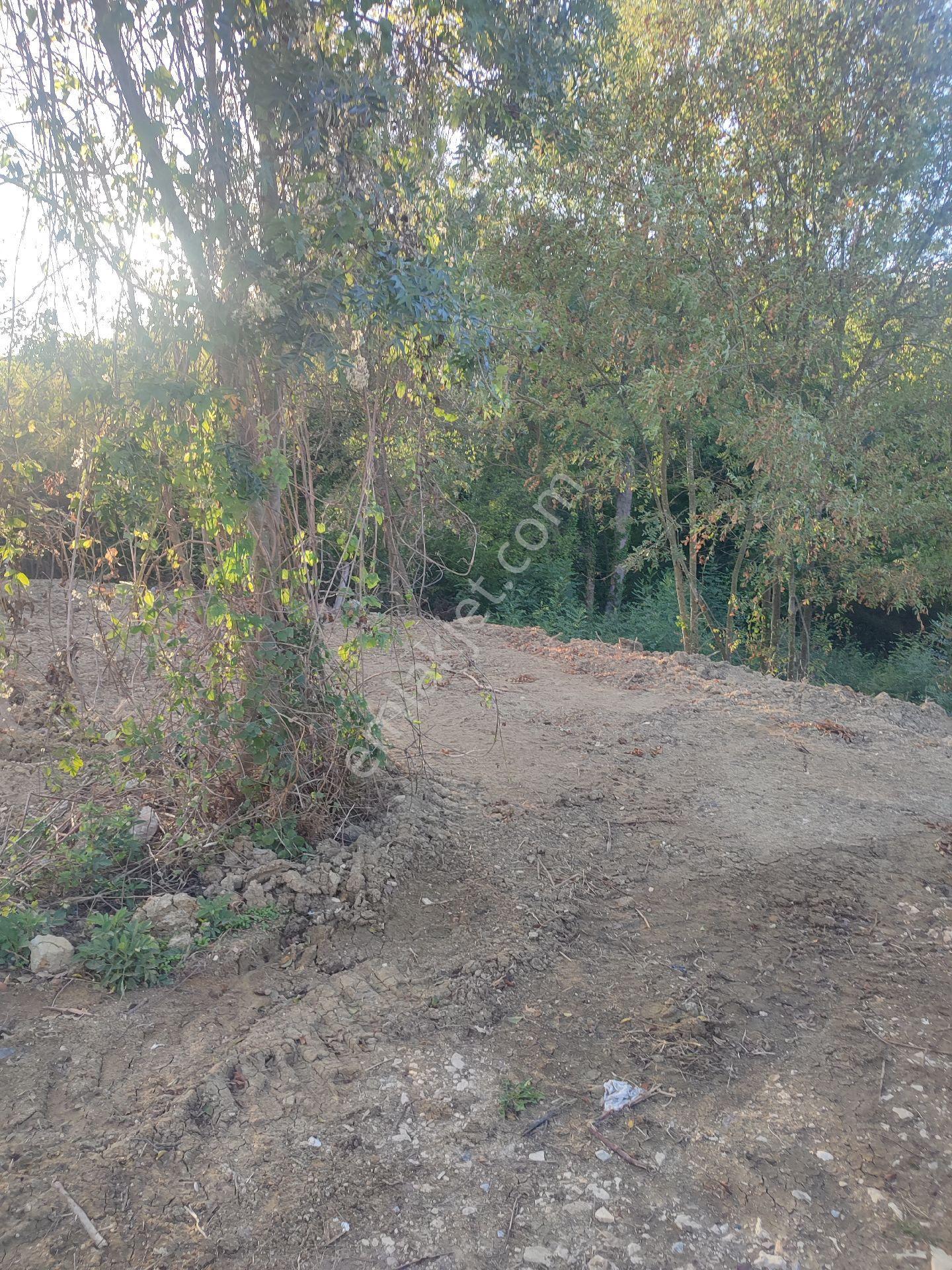 Kandıra Pirceler De Doğayla İç İçe Arsa Tinhouse İçin Mükemmel - Görsel 12