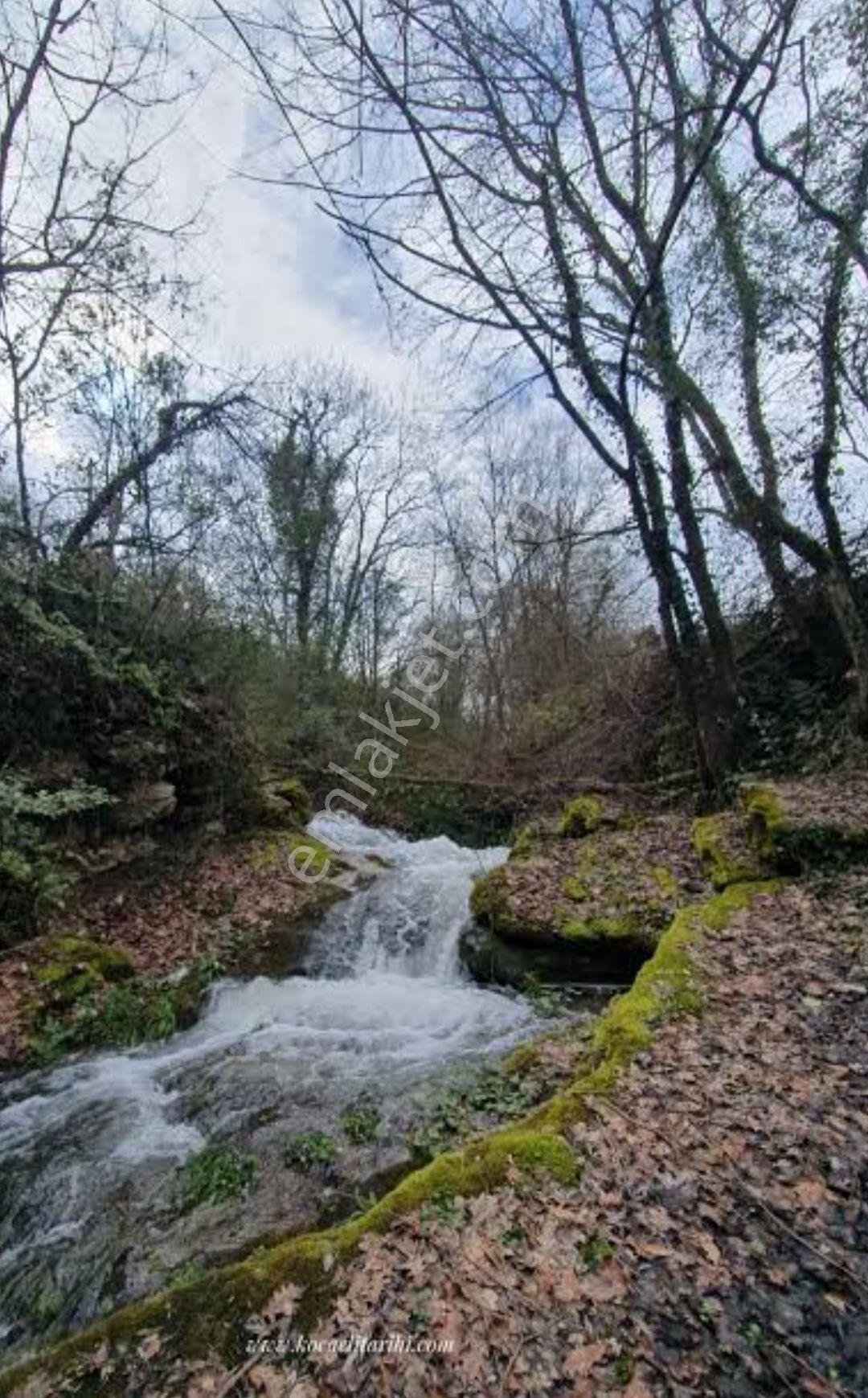 Kandıra Pirceler De Doğayla İç İçe Arsa Tinhouse İçin Mükemmel - Görsel 20