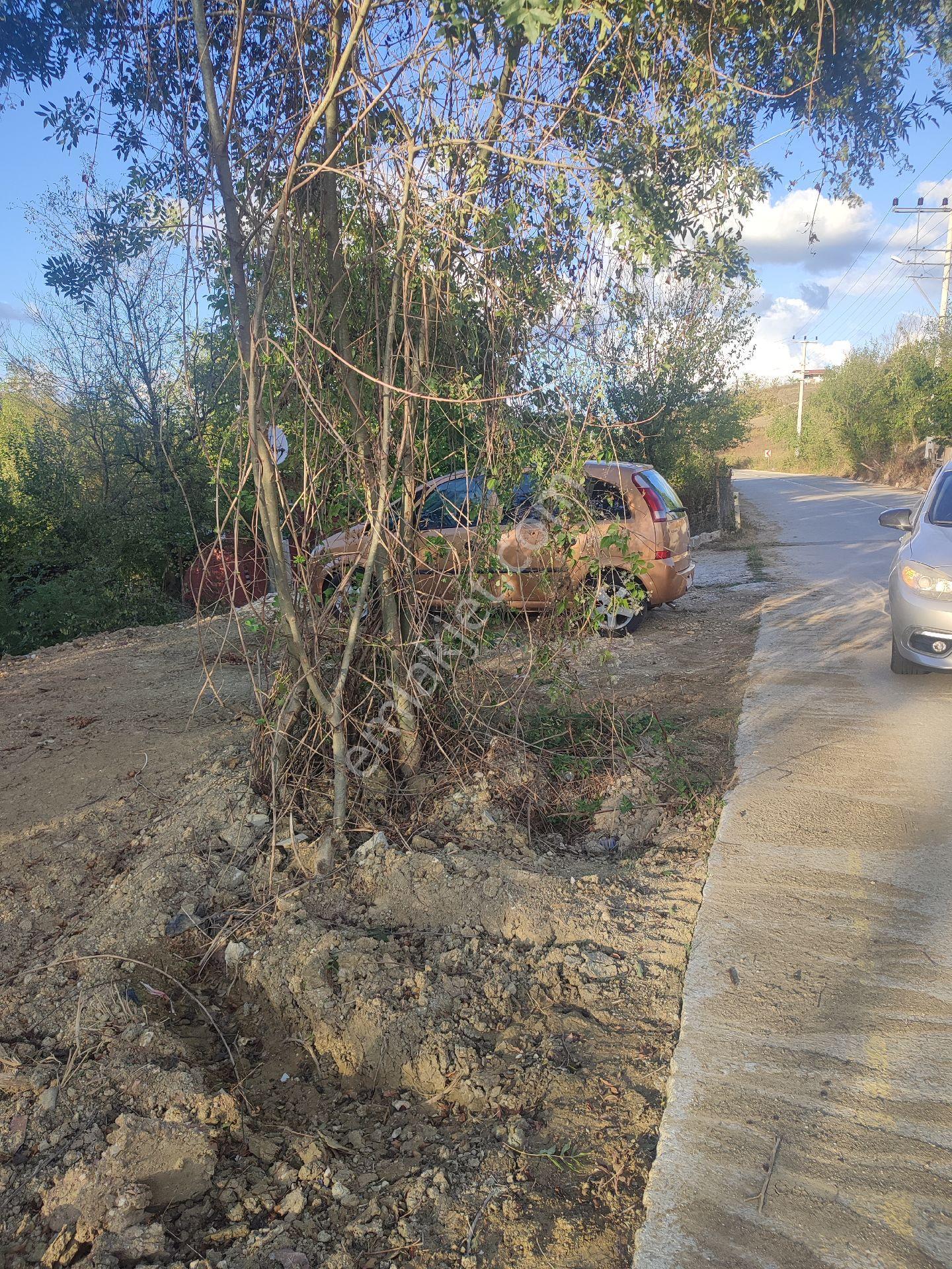 Kandıra Pirceler De Doğayla İç İçe Arsa Tinhouse İçin Mükemmel - Görsel 5