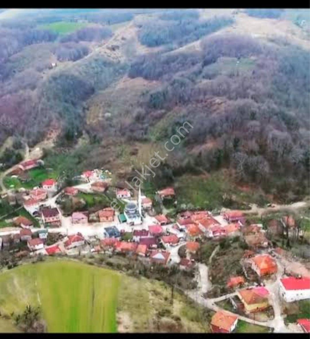 Kandıra Pirceler De Doğayla İç İçe Arsa Tinhouse İçin Mükemmel - Görsel 19