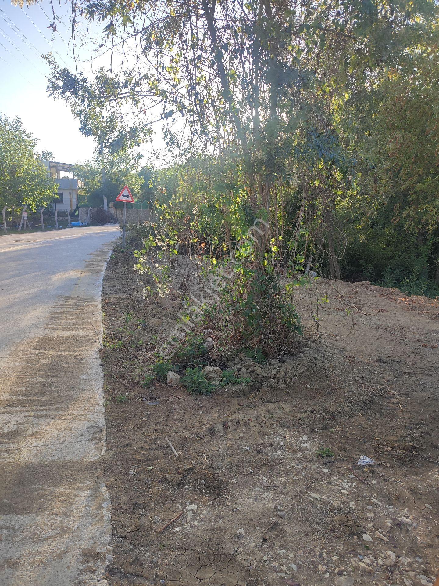 Kandıra Pirceler De Doğayla İç İçe Arsa Tinhouse İçin Mükemmel - Görsel 11