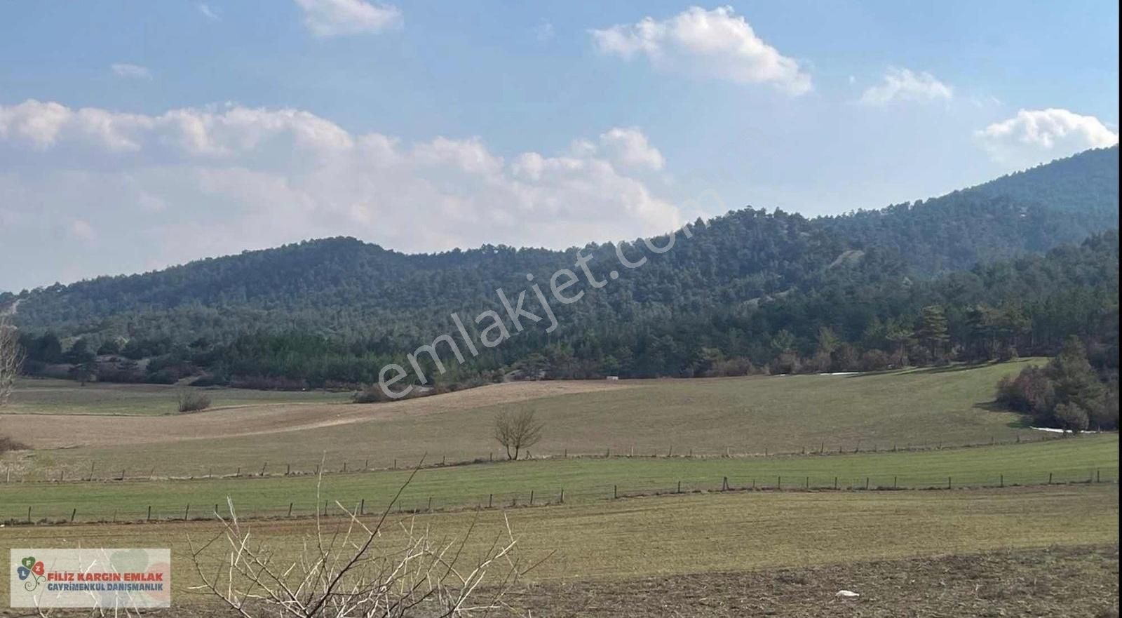 Sakarya Taraklı Yenidoğan'da Satlık Tarla - Görsel 5