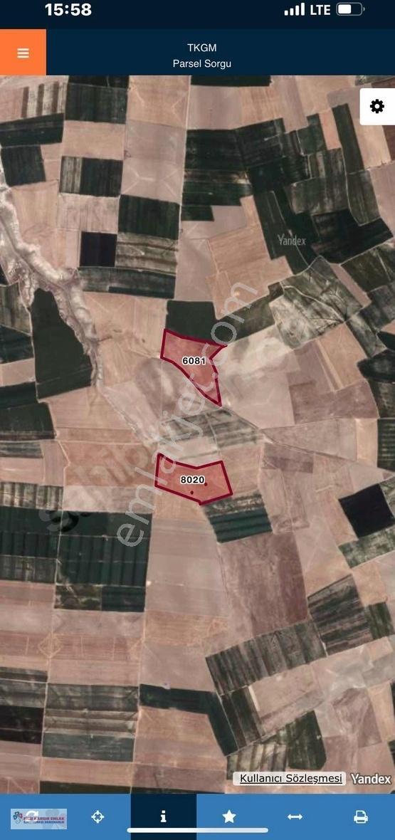 Aksaray Sultanhanında 299.959m2 Satılık Sulu Tarla - Görsel 2