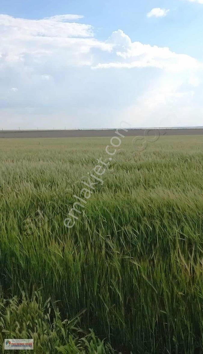 Aksaray Sultanhanında 299.959m2 Satılık Sulu Tarla - Görsel 19