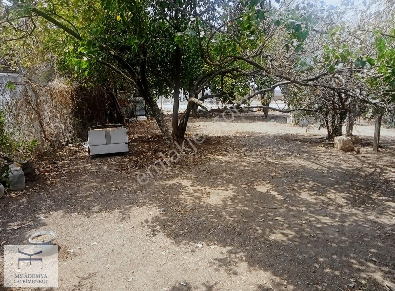 Ana Asfalta Cephe 4 Villalık 2925 Metrekare Arsa - Görsel 3