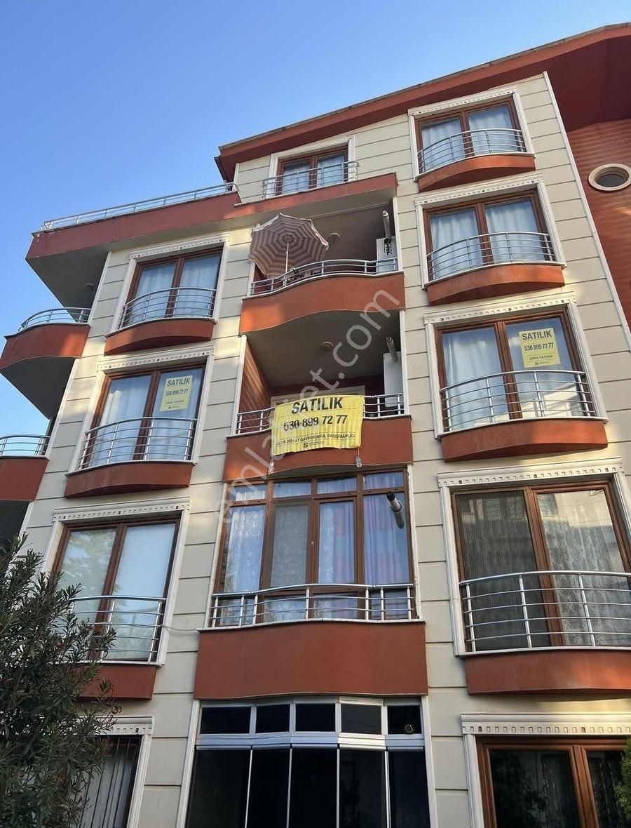 Deniz Ve Doğa Manzaralı Geniş Daire - Görsel 20