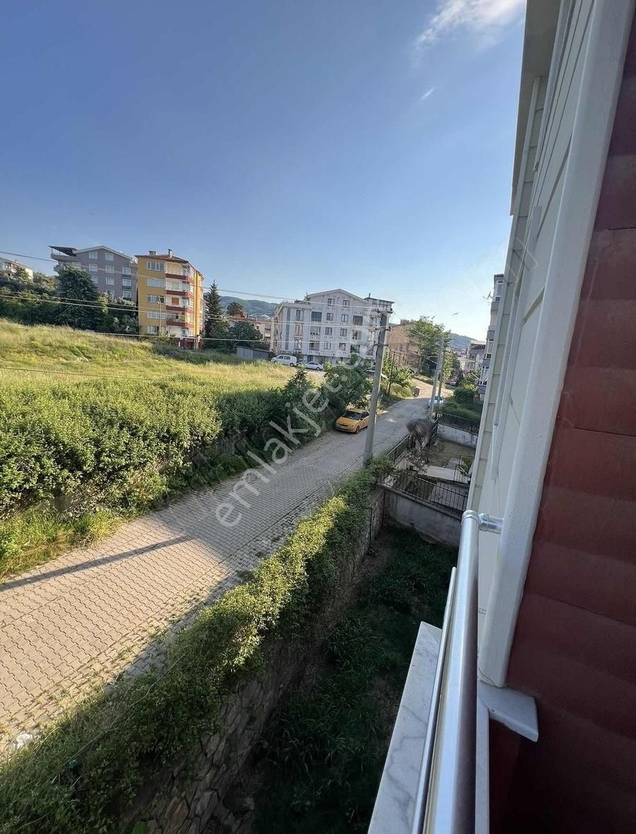 Deniz Ve Doğa Manzaralı Geniş Daire - Görsel 17
