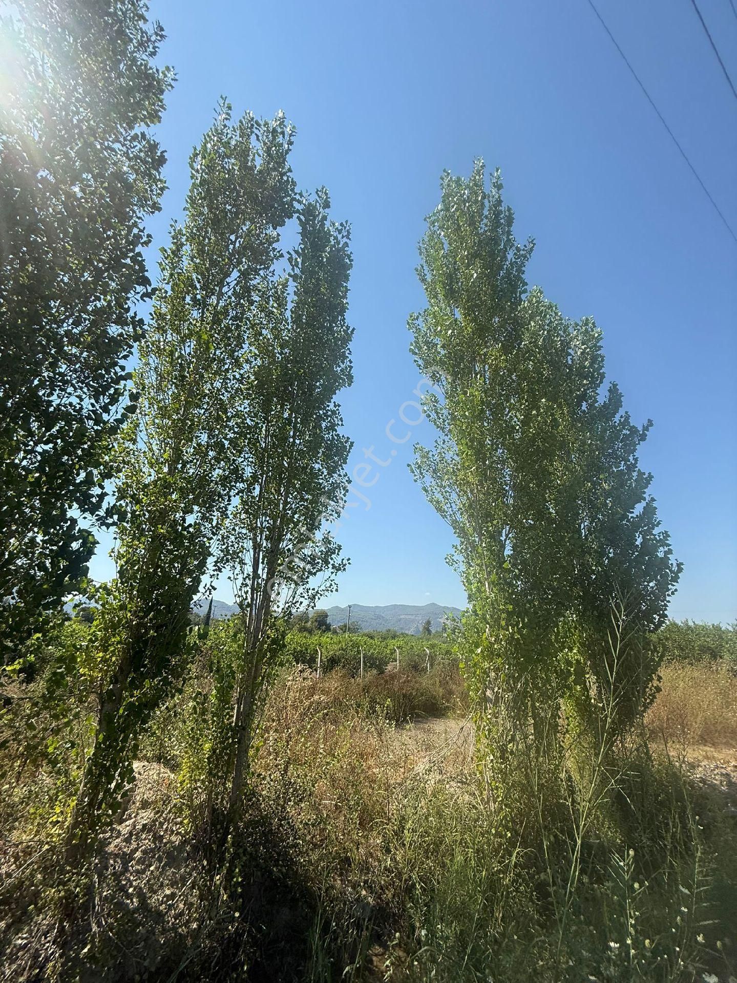 Muğla Ortaca Fevziye Satılık Arsa Müstakil Parsel - Görsel 12