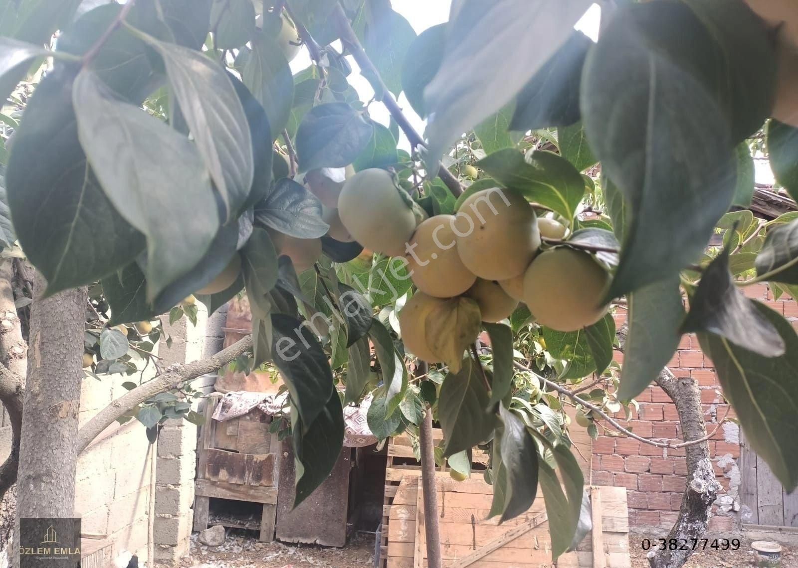 Edincik Mahallesi Köyiçinde Hayalinizdeki Bahçeli Müstakil Ev - Görsel 2