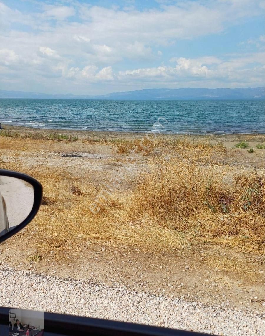 Bursa Orhangazi Narlicada Satılık Zeytinlıkler - Görsel 6