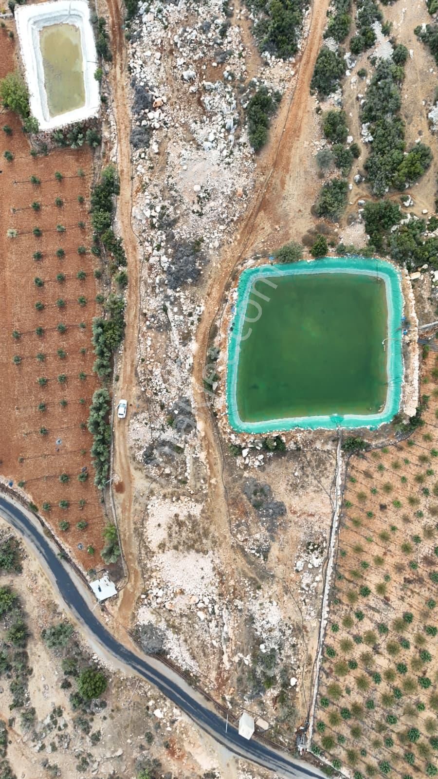 Thor'dan Satılık Erdemli Karaahmetli'de 5000 M2 Arsa - Görsel 9