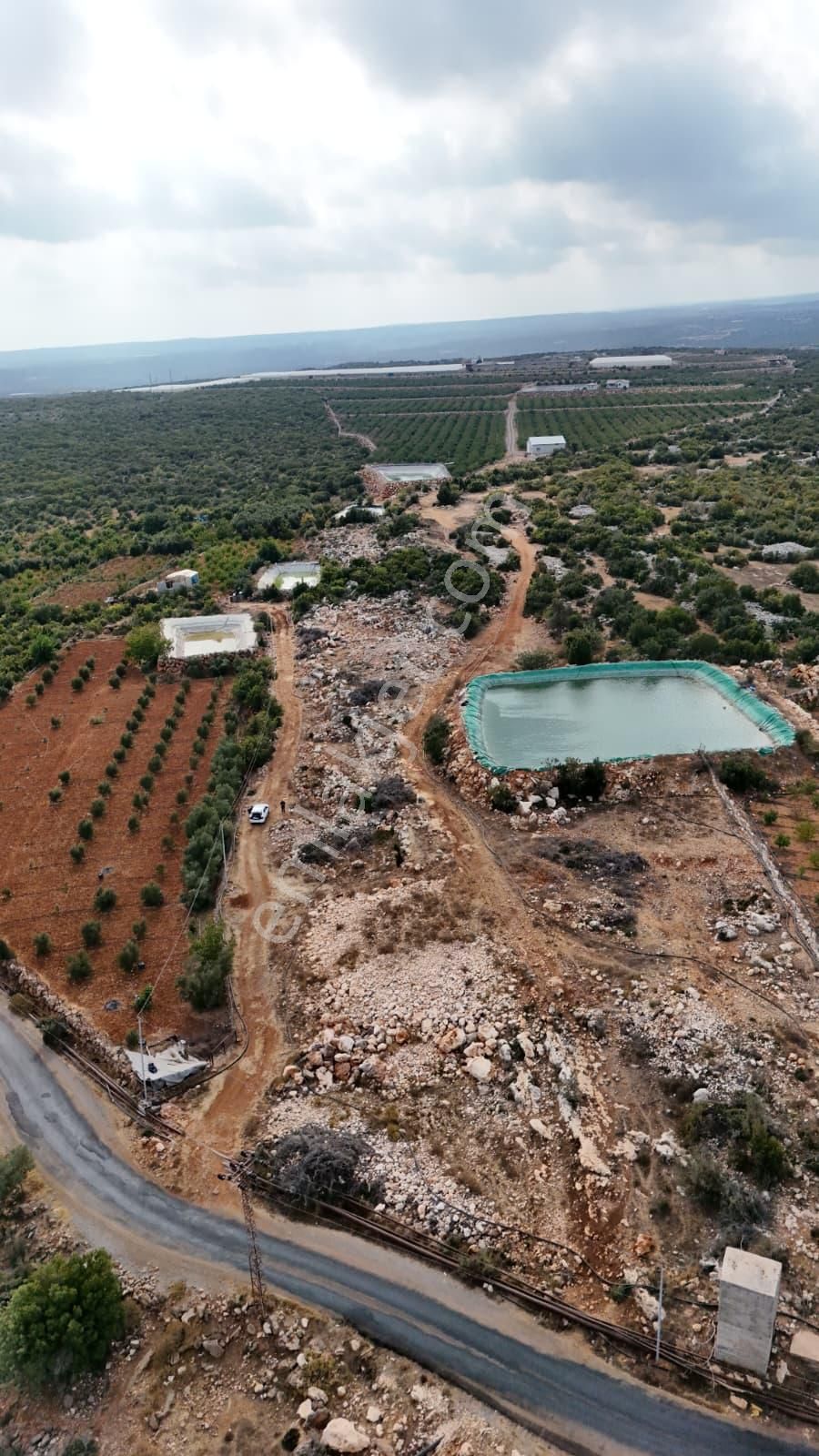Thor'dan Satılık Erdemli Karaahmetli'de 5000 M2 Arsa - Görsel 10