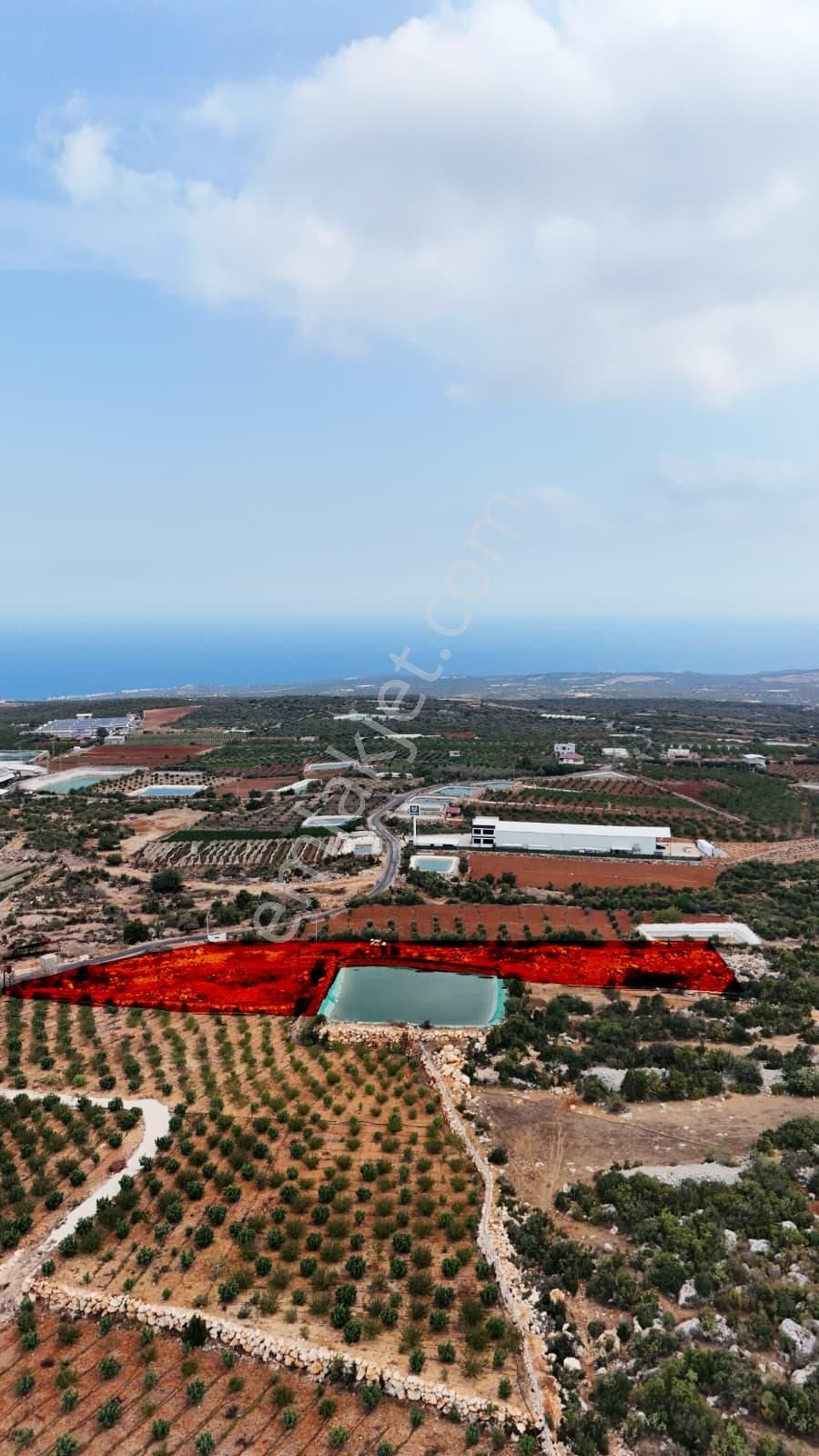 Thor'dan Satılık Erdemli Karaahmetli'de 5000 M2 Arsa - Görsel 6