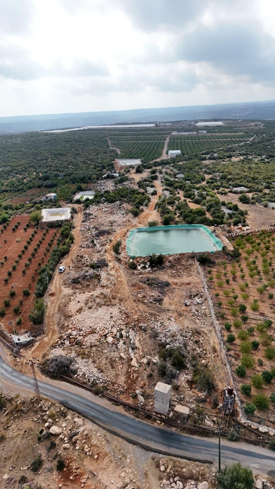 Thor'dan Satılık Erdemli Karaahmetli'de 5000 M2 Arsa - Görsel 14