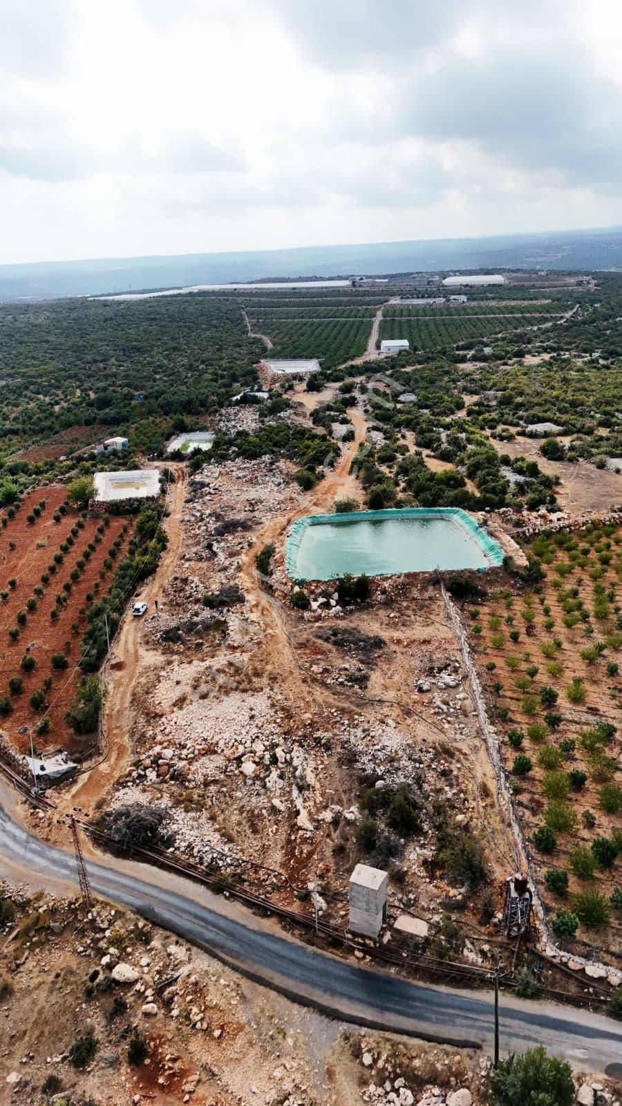 Thor'dan Satılık Erdemli Karaahmetli'de 5000 M2 Arsa - Görsel 2