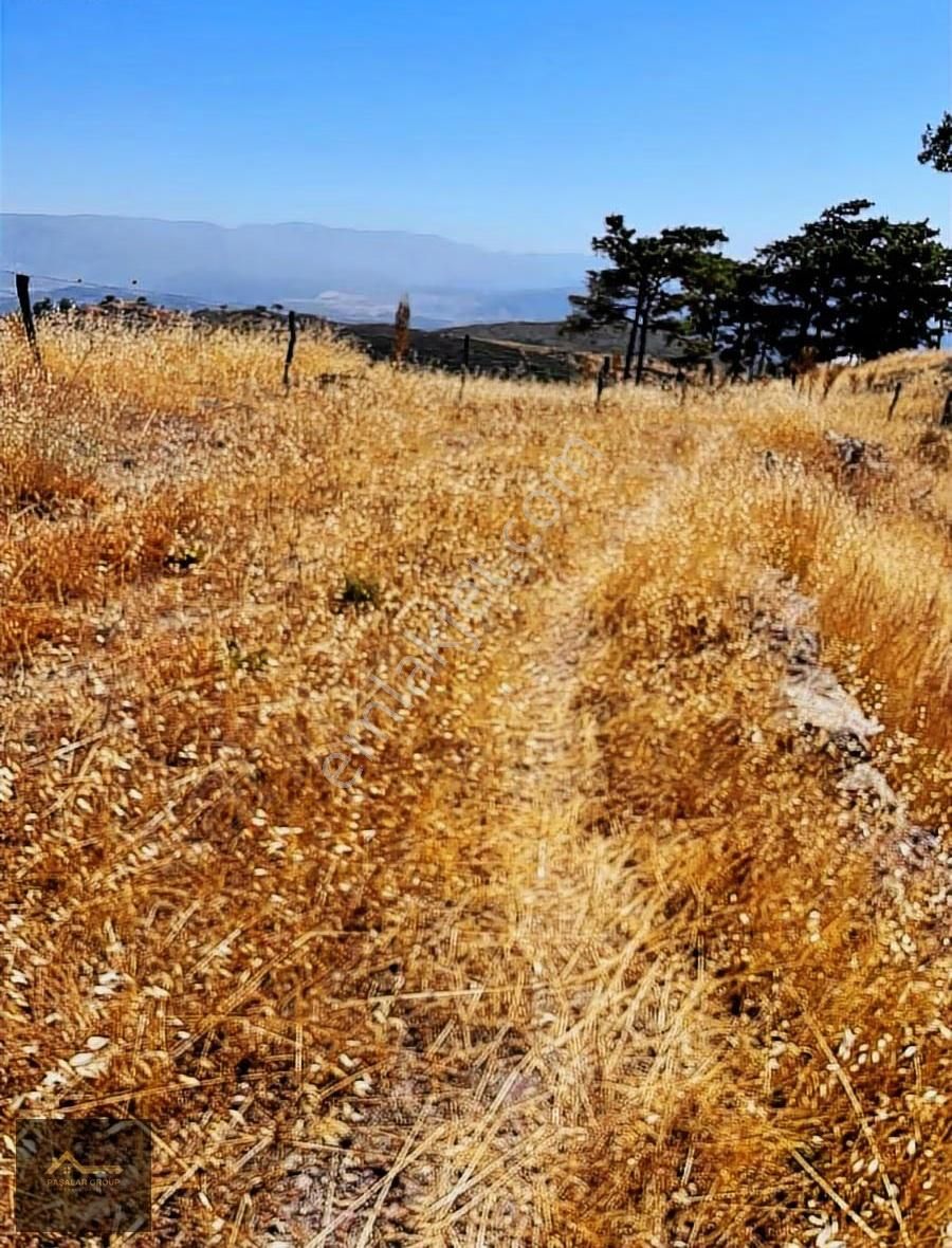 Milas Akçakayada Satılık 6.228 M² Tarla Doğa Ve Deniz Manzaralı - Görsel 3