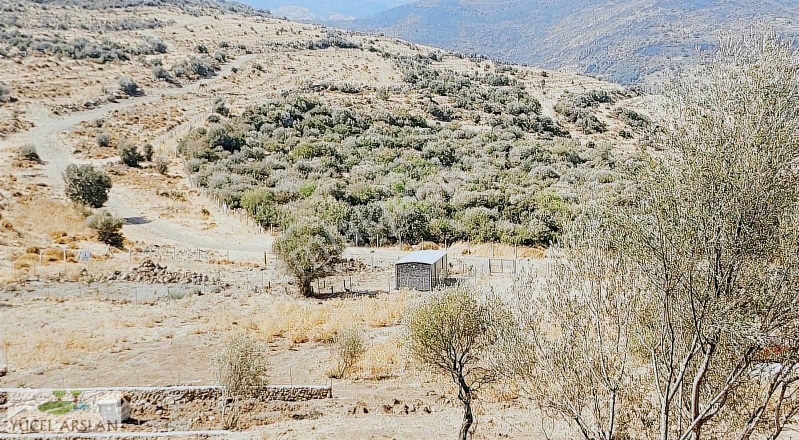 Menemen Süleymanlı Köyünde Acil Satılık Doğa Manzaralı Tarla - Görsel 25