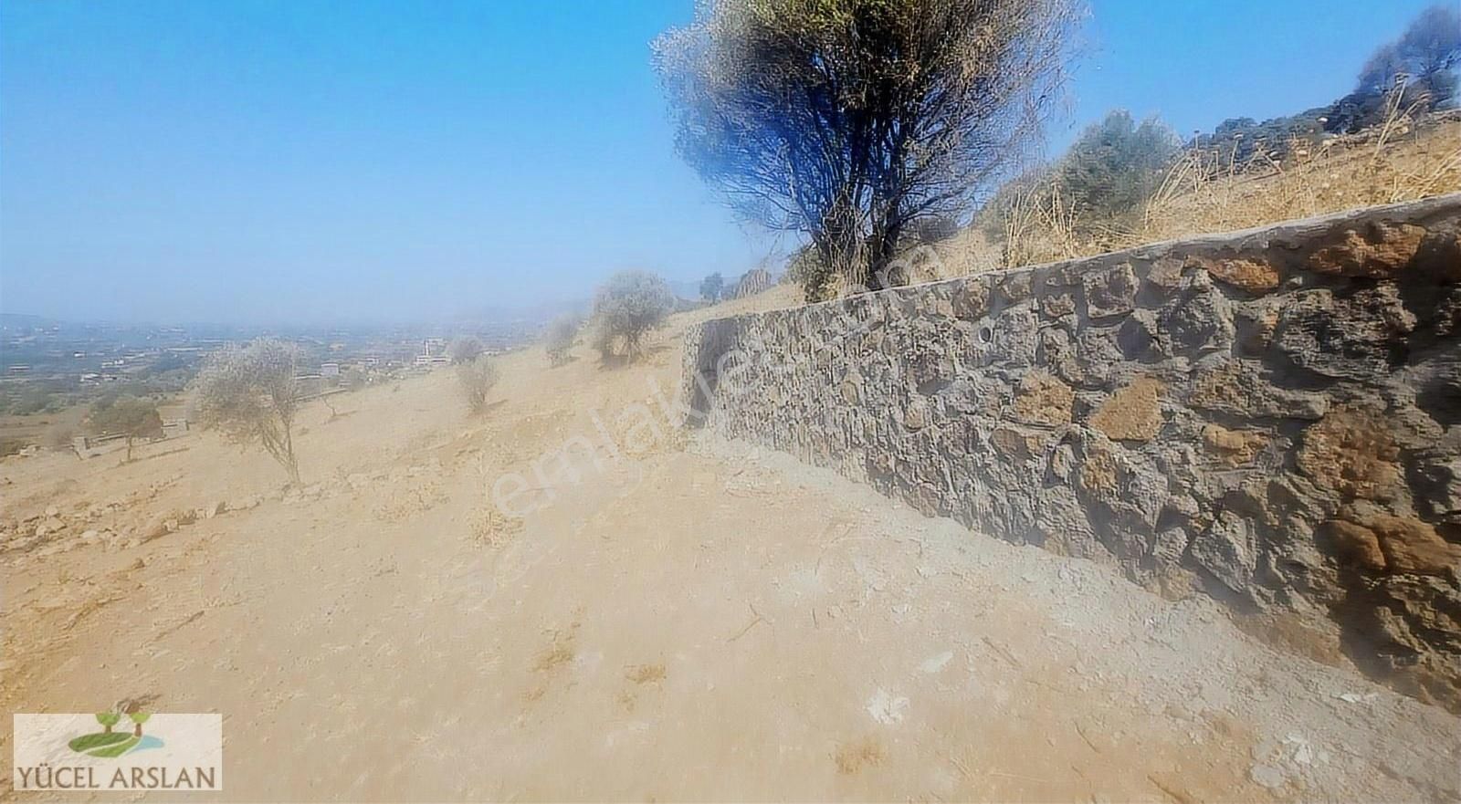 Menemen Süleymanlı Köyünde Acil Satılık Doğa Manzaralı Tarla - Görsel 21