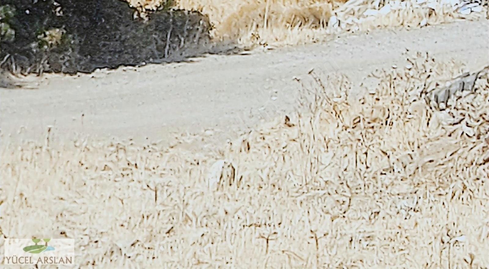 Menemen Süleymanlı Köyünde Acil Satılık Doğa Manzaralı Tarla - Görsel 26