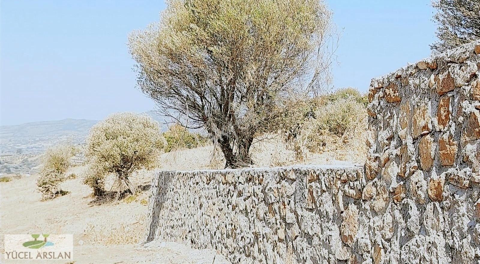 Menemen Süleymanlı Köyünde Acil Satılık Doğa Manzaralı Tarla - Görsel 15