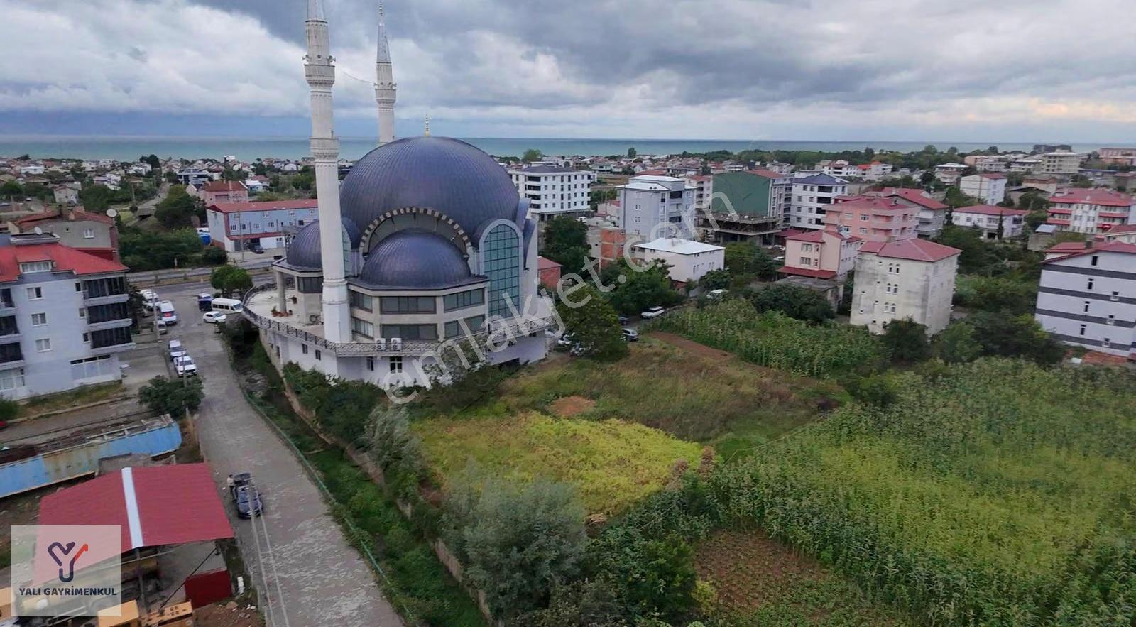 Yalı Gayrimenkul | Çatalçam'da Anayola Yakın Fırsat Arsa - Görsel 2
