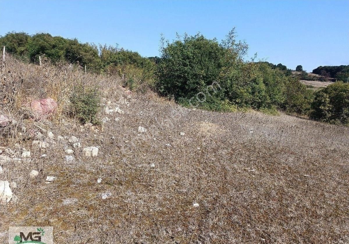 Kandıra Babaköy Denize Yakın Arsa - Görsel 8