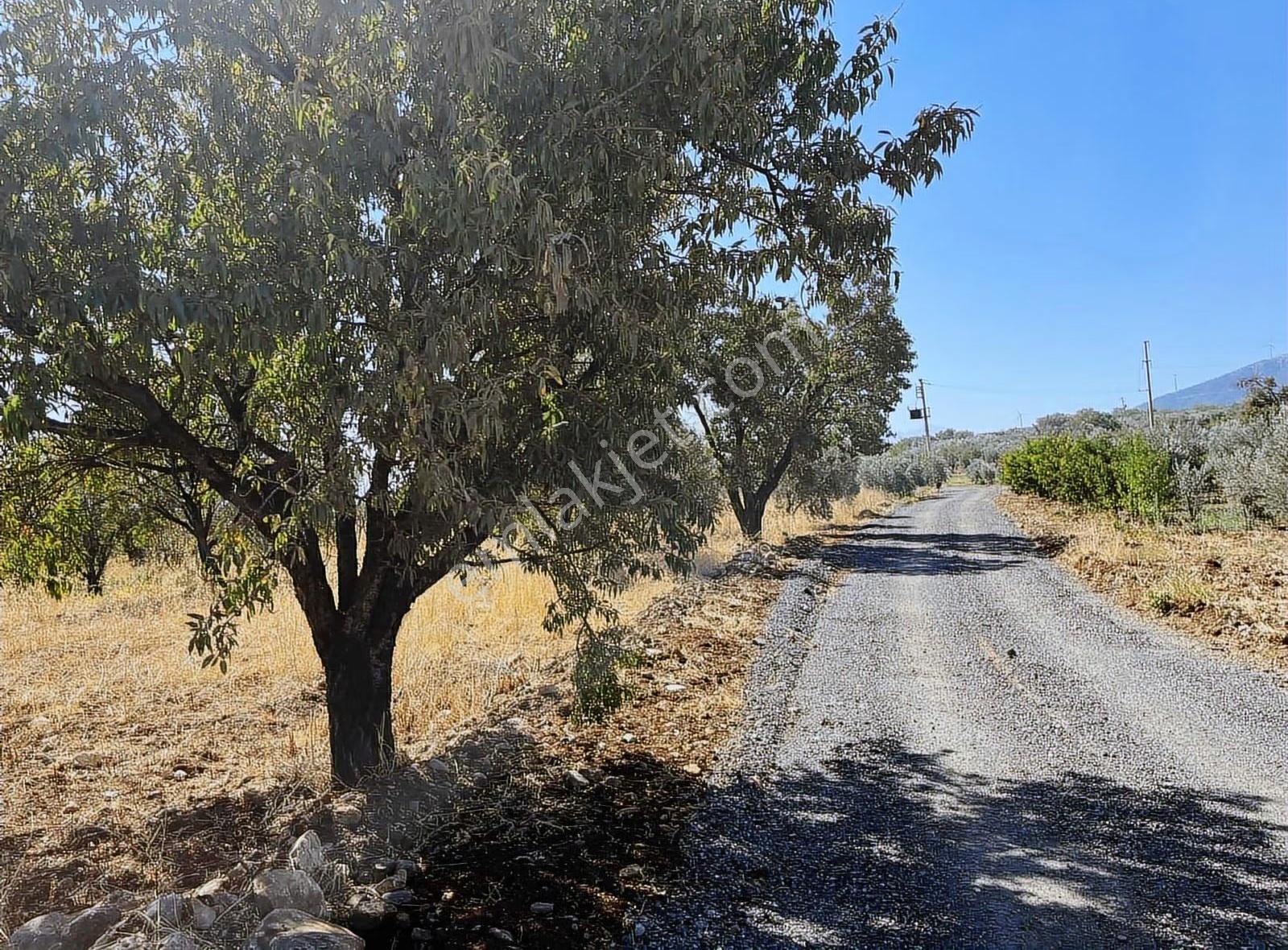 Manisa Şehzadeler Karaoğlanlı Mah. Satılık Arsa - Görsel 3