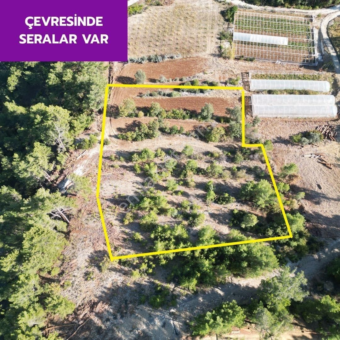🦋çameli Akpınar'da 7606 M² Kargır Ev Kaydı Olan Arazimiz Satılıktır.🦋 - Görsel 3