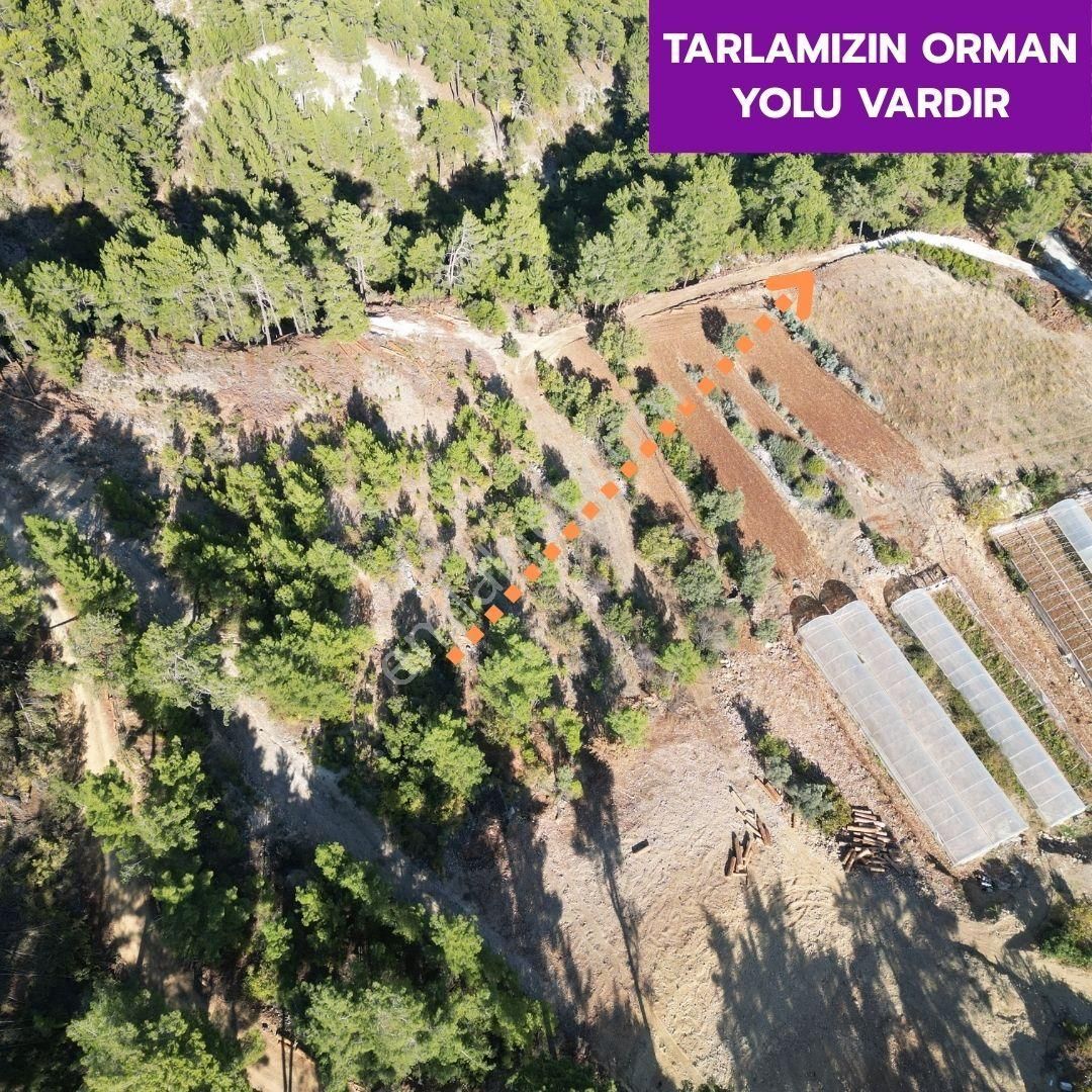 🦋çameli Akpınar'da 7606 M² Kargır Ev Kaydı Olan Arazimiz Satılıktır.🦋 - Görsel 7