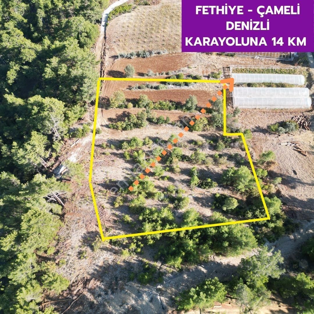 🦋çameli Akpınar'da 7606 M² Kargır Ev Kaydı Olan Arazimiz Satılıktır.🦋 - Görsel 6